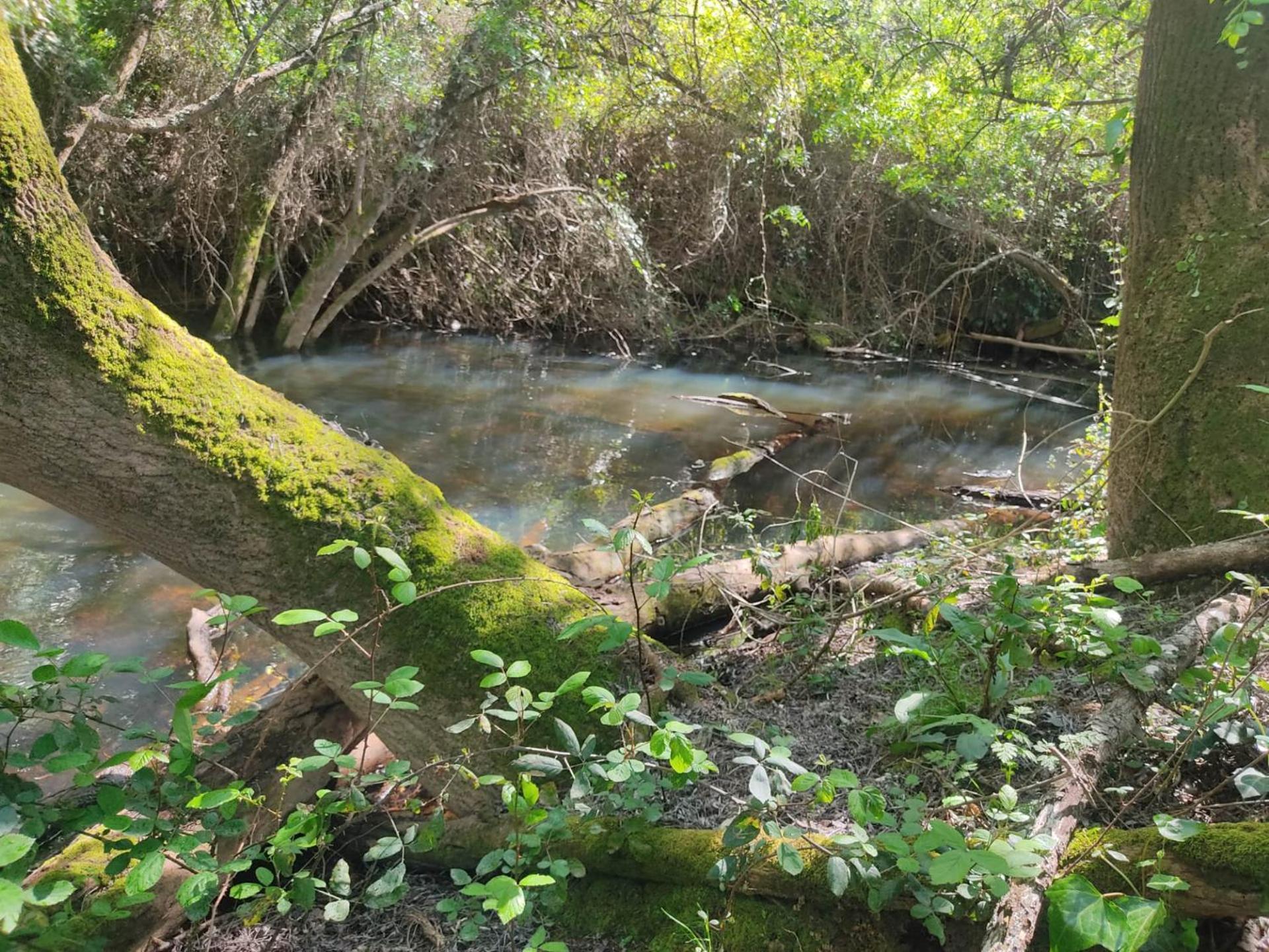 Herdade Da Maceira São Luis Zewnętrze zdjęcie